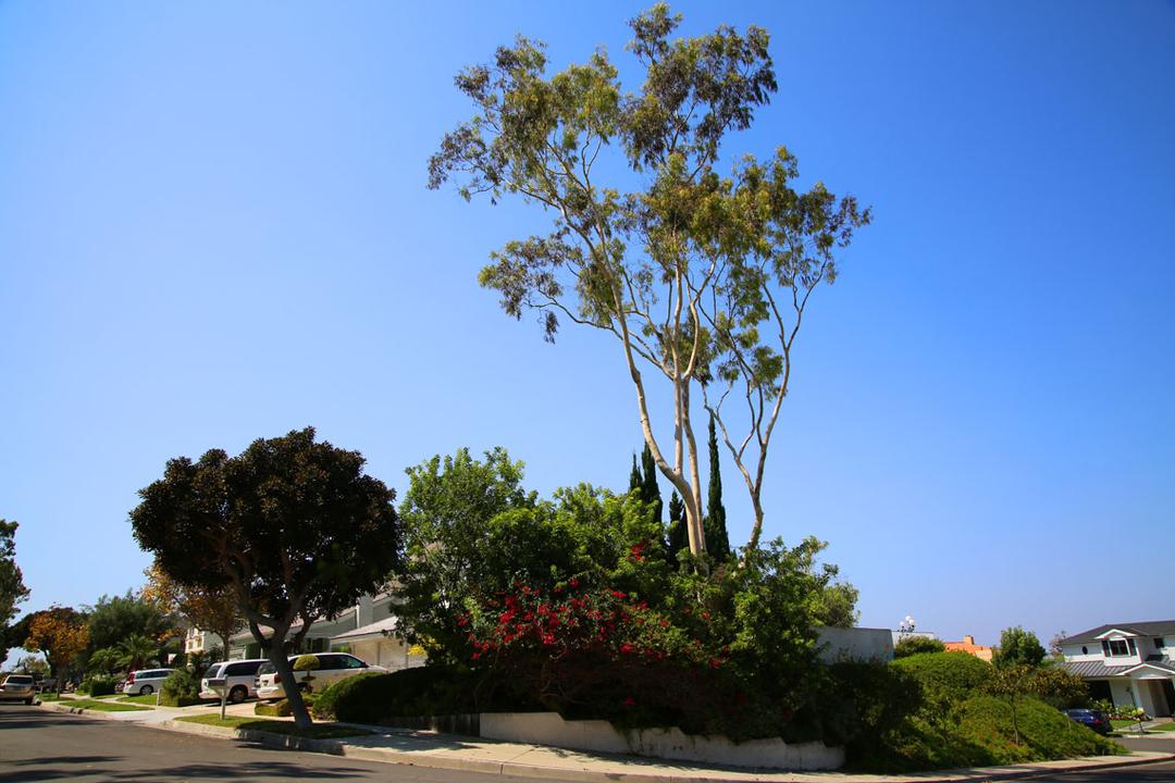 Work Image